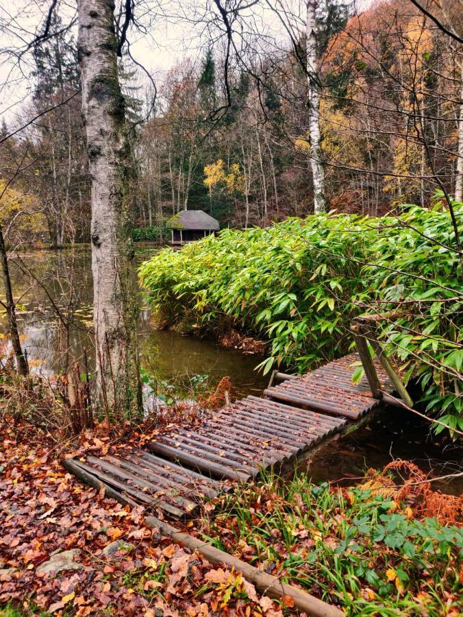 Bed & Breakfast Ferme De La Petite Fagne